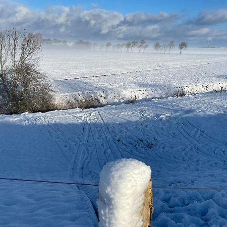 Carolinensiel/Harlesiel Daire Dış mekan fotoğraf