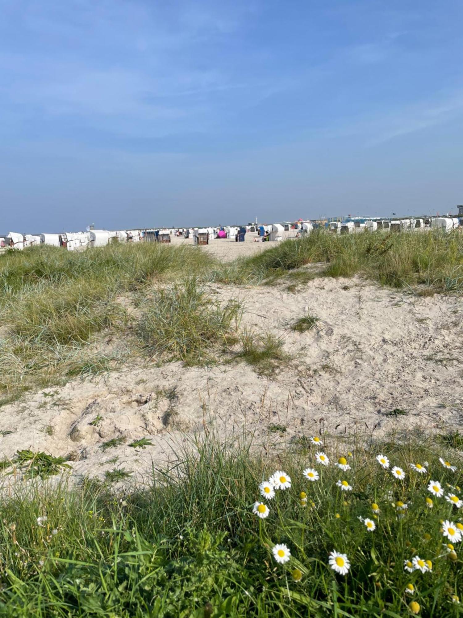 Carolinensiel/Harlesiel Daire Dış mekan fotoğraf